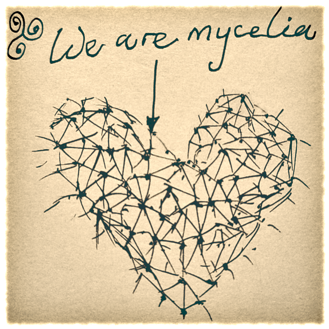 We Are Mycelia Cover image for the second Silri Kin single, We Are Mycelia